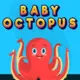 Baby Octopus