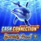 Cash Connection: Dolphins Pearl